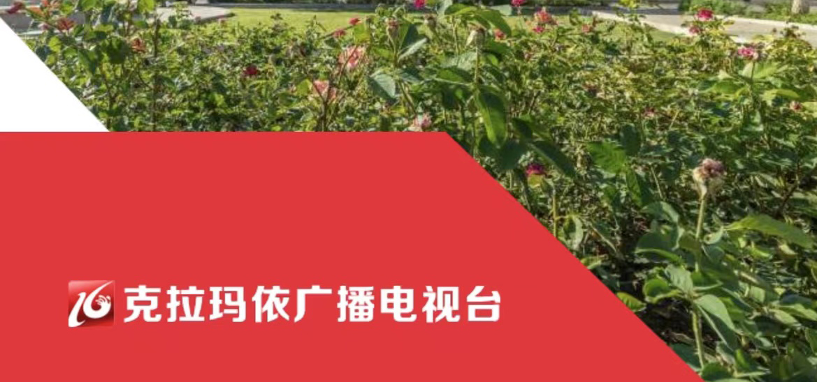 克拉瑪依廣播電視臺社會責任報告（2021年度）